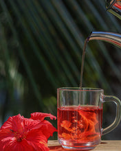 Load image into Gallery viewer, Hibiscus
